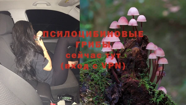 мяу мяу кристалл Алзамай