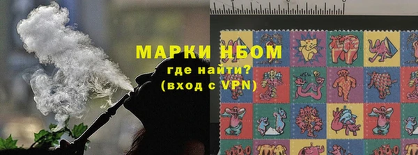 индика Алексеевка
