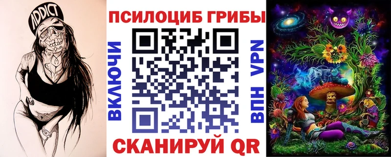 продажа наркотиков  blacksprut ТОР  Галлюциногенные грибы Psilocybine cubensis  Могоча 